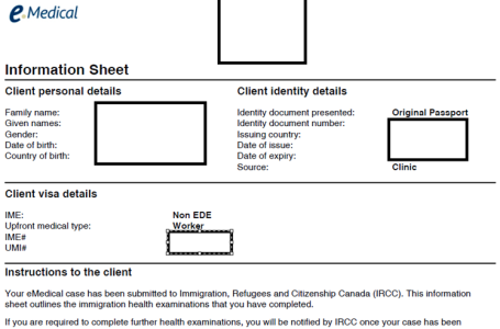 Sample e-medical information sheet